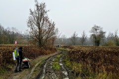 Urodziny nad Wisłą